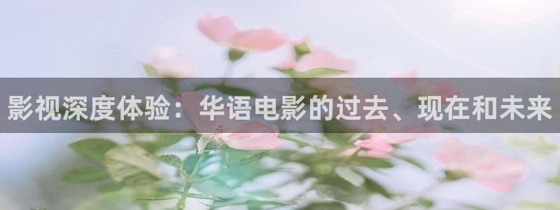 伦理片第九影院：影视深度体验：华语电影的过去、现在和未来