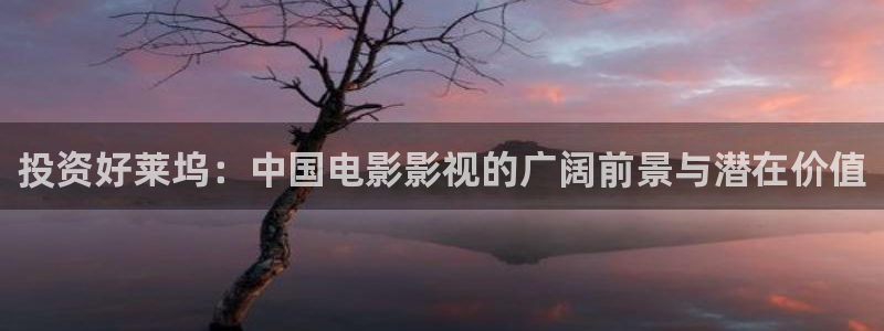 花花影院第九电影：投资好莱坞：中国电影影视的广阔前景与潜在价值