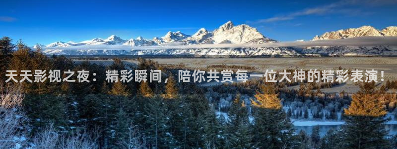 第九影院电影完整版免费在线观看：天天影视之夜：精彩瞬间，陪你共赏每一位大神的精彩表演！