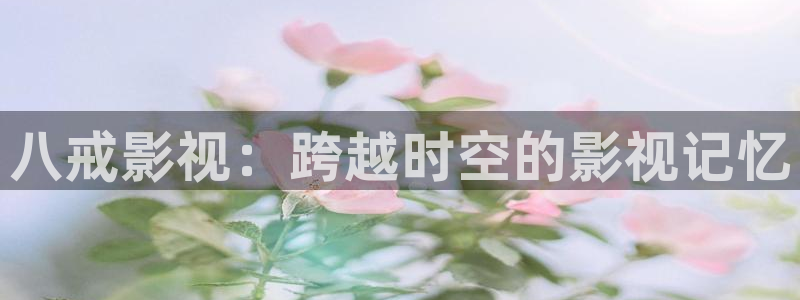 达达兔第九影院在线观看