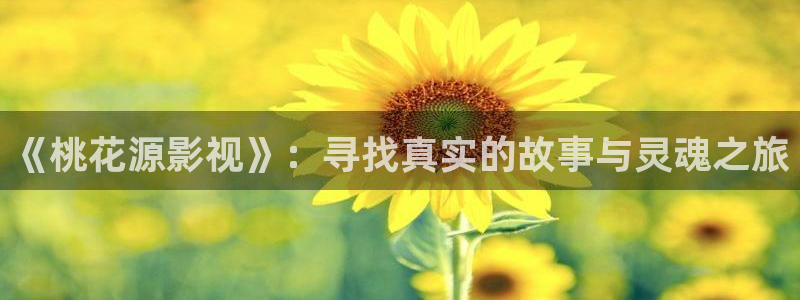 第九影音