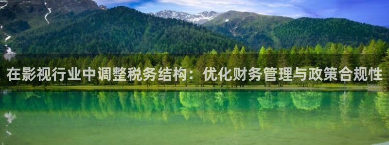 神马伦理第九电影影院：在影视行业中调整税务结构：优化财务管理与政策合规性